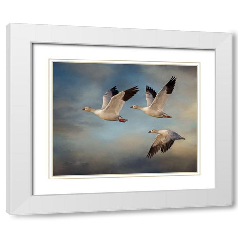 Snow Geese White Modern Wood Framed Art Print with Double Matting by McFerrin, Larry
