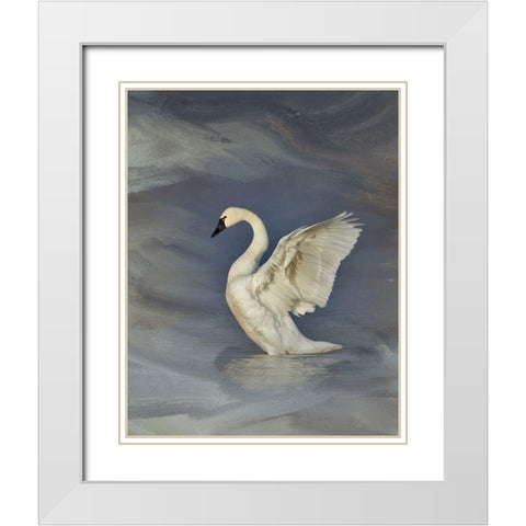 Tundra Swan White Modern Wood Framed Art Print with Double Matting by McFerrin, Larry