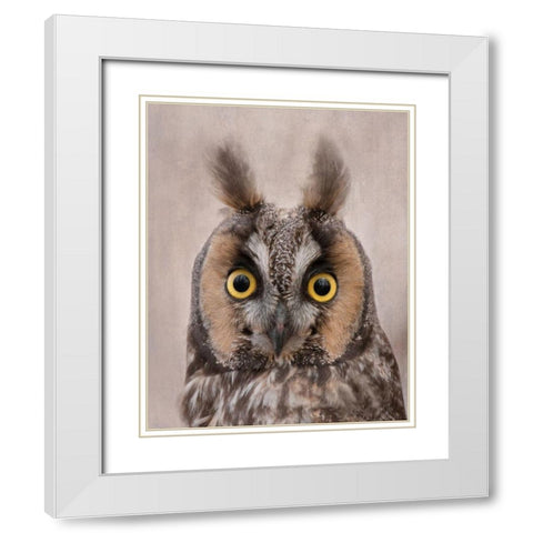 Long-Eared Owl White Modern Wood Framed Art Print with Double Matting by McFerrin, Larry
