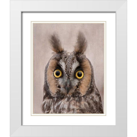 Long-Eared Owl White Modern Wood Framed Art Print with Double Matting by McFerrin, Larry