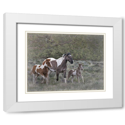 Legend-Aura-and Storm White Modern Wood Framed Art Print with Double Matting by McFerrin, Larry