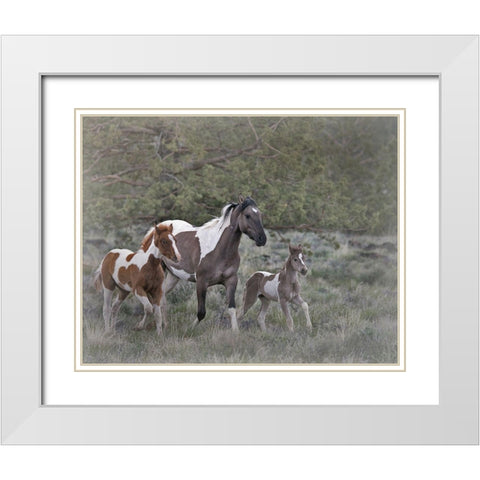 Legend-Aura-and Storm White Modern Wood Framed Art Print with Double Matting by McFerrin, Larry