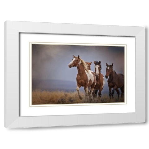 Wild Stallion White Modern Wood Framed Art Print with Double Matting by McFerrin, Larry