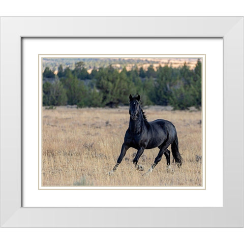 Intense White Modern Wood Framed Art Print with Double Matting by McFerrin, Larry