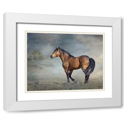 Wicasa White Modern Wood Framed Art Print with Double Matting by McFerrin, Larry