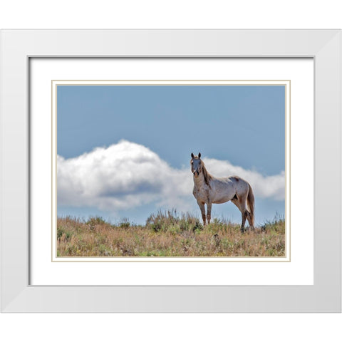 War Chief White Modern Wood Framed Art Print with Double Matting by McFerrin, Larry