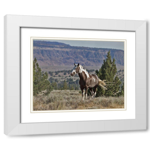 Renegade White Modern Wood Framed Art Print with Double Matting by McFerrin, Larry