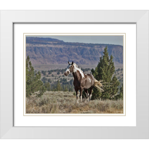 Renegade White Modern Wood Framed Art Print with Double Matting by McFerrin, Larry