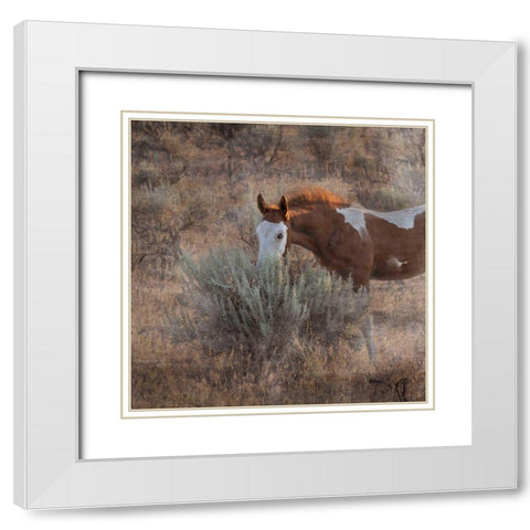 Skye Hawk White Modern Wood Framed Art Print with Double Matting by McFerrin, Larry