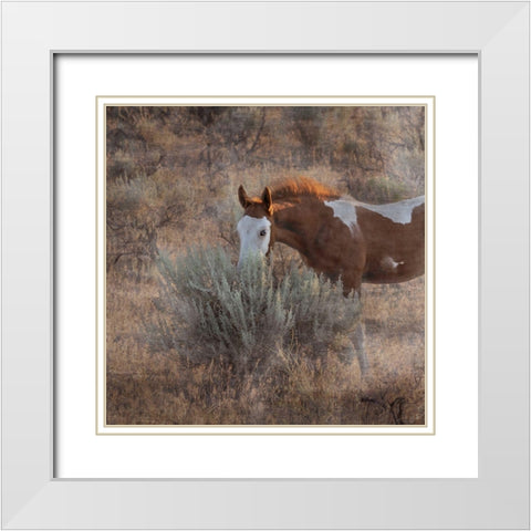 Skye Hawk White Modern Wood Framed Art Print with Double Matting by McFerrin, Larry