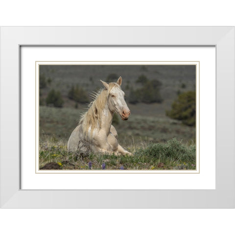 Survivor White Modern Wood Framed Art Print with Double Matting by McFerrin, Larry