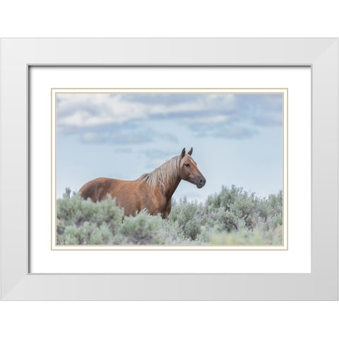 Aphrodite White Modern Wood Framed Art Print with Double Matting by McFerrin, Larry