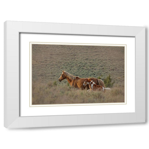 Aztec Band White Modern Wood Framed Art Print with Double Matting by McFerrin, Larry