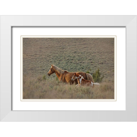 Aztec Band White Modern Wood Framed Art Print with Double Matting by McFerrin, Larry