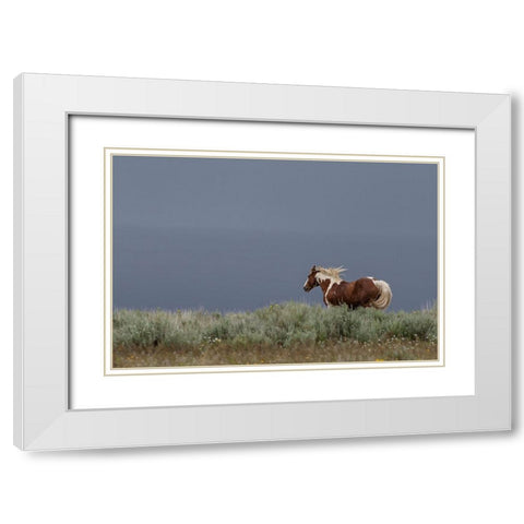 Aztec Band White Modern Wood Framed Art Print with Double Matting by McFerrin, Larry