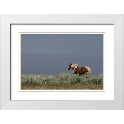 Aztec Band White Modern Wood Framed Art Print with Double Matting by McFerrin, Larry