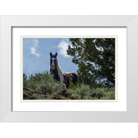 Casino White Modern Wood Framed Art Print with Double Matting by McFerrin, Larry