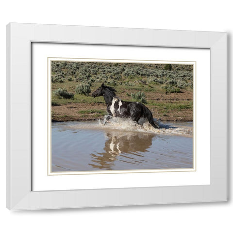 Mundoo White Modern Wood Framed Art Print with Double Matting by McFerrin, Larry