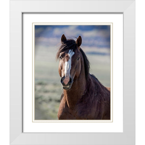 Choctaw White Modern Wood Framed Art Print with Double Matting by McFerrin, Larry