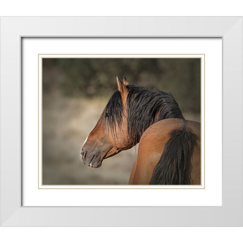 Honor White Modern Wood Framed Art Print with Double Matting by McFerrin, Larry