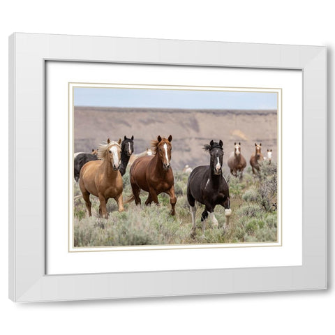 Macawls 2017 White Modern Wood Framed Art Print with Double Matting by McFerrin, Larry