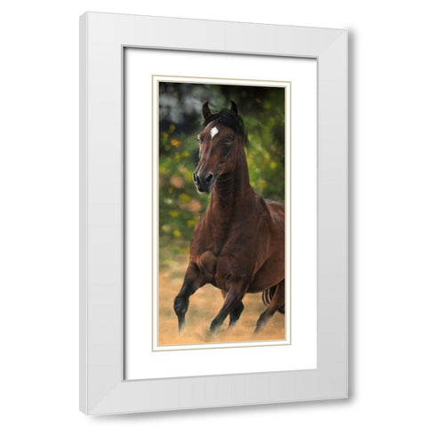 Spirit of Victory White Modern Wood Framed Art Print with Double Matting by Harrison, Lesley