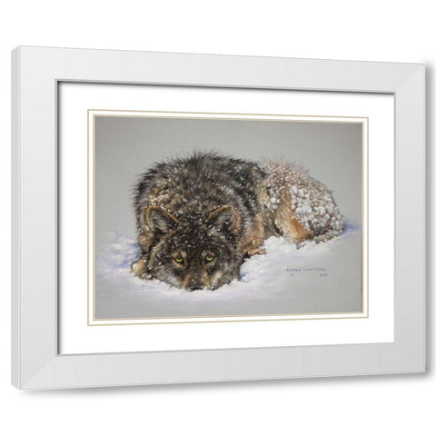 Lone Wolf White Modern Wood Framed Art Print with Double Matting by Harrison, Lesley