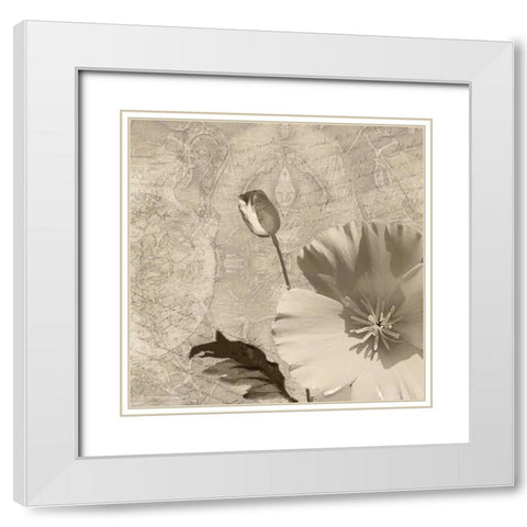 Vintage Rose I White Modern Wood Framed Art Print with Double Matting by Wolk, Lisa