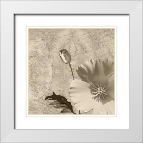 Vintage Rose I White Modern Wood Framed Art Print with Double Matting by Wolk, Lisa