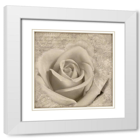 Vintage Rose II White Modern Wood Framed Art Print with Double Matting by Wolk, Lisa