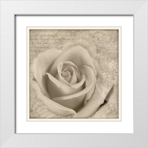 Vintage Rose II White Modern Wood Framed Art Print with Double Matting by Wolk, Lisa
