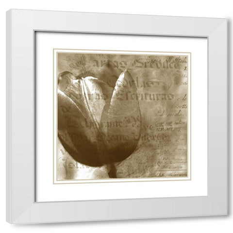 Tulip White Modern Wood Framed Art Print with Double Matting by Wolk, Lisa