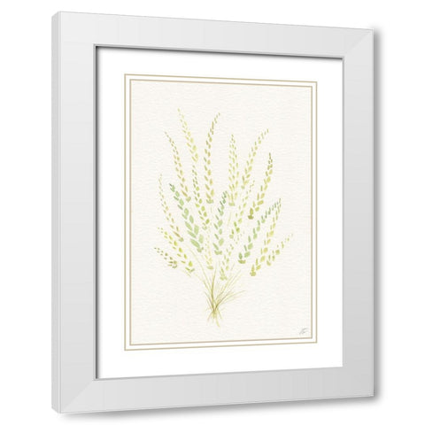 Dried Green Bundle White Modern Wood Framed Art Print with Double Matting by Lee, Judson