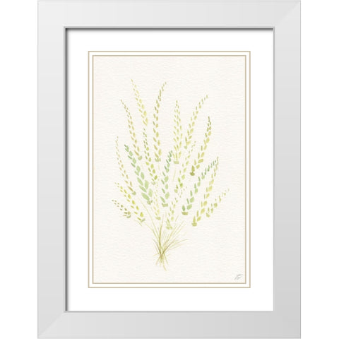 Dried Green Bundle White Modern Wood Framed Art Print with Double Matting by Lee, Judson