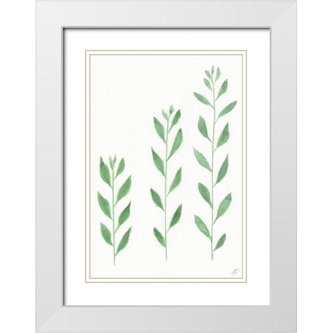 Three Wild Stems White Modern Wood Framed Art Print with Double Matting by Lee, Judson