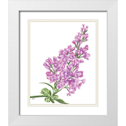 Lilac Flower in Pink White Modern Wood Framed Art Print with Double Matting by Fay, Mela