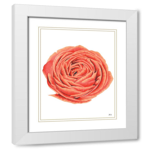 Orange Rose White Modern Wood Framed Art Print with Double Matting by Fay, Mela
