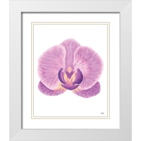 Purple Orchid II White Modern Wood Framed Art Print with Double Matting by Fay, Mela