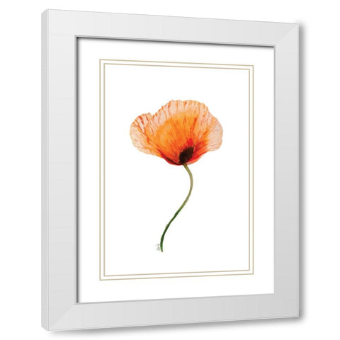 Poppy II White Modern Wood Framed Art Print with Double Matting by Fay, Mela