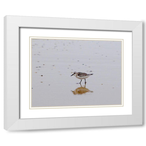 Little Guy White Modern Wood Framed Art Print with Double Matting by Singleton, Ashley