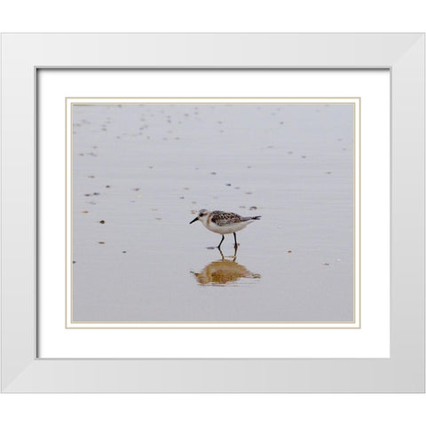 Little Guy White Modern Wood Framed Art Print with Double Matting by Singleton, Ashley