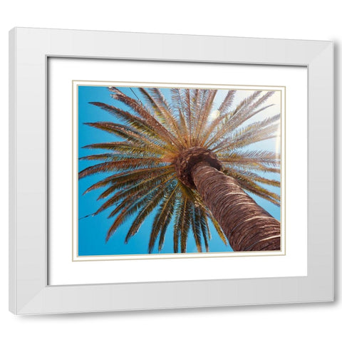 Sunny Palms White Modern Wood Framed Art Print with Double Matting by Singleton, Ashley
