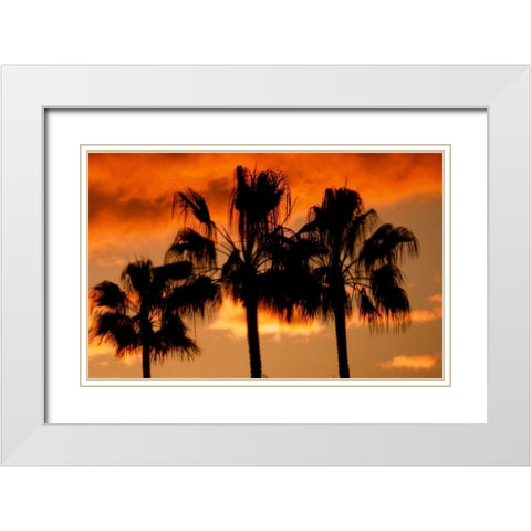 Neon Palm Trees II White Modern Wood Framed Art Print with Double Matting by Singleton, Ashley