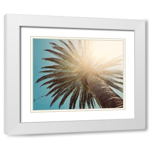 Palm Tree II White Modern Wood Framed Art Print with Double Matting by Singleton, Ashley