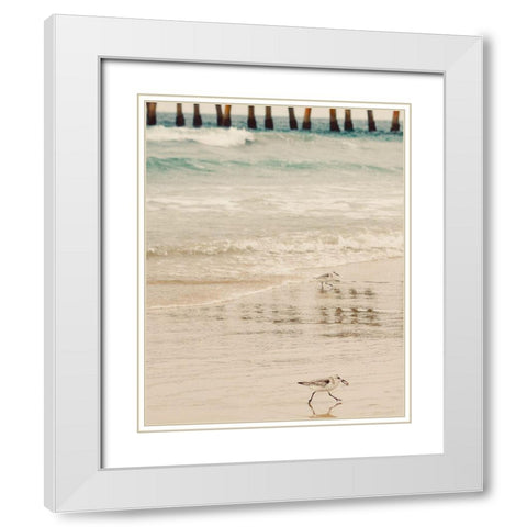 Bird White Modern Wood Framed Art Print with Double Matting by Singleton, Ashley