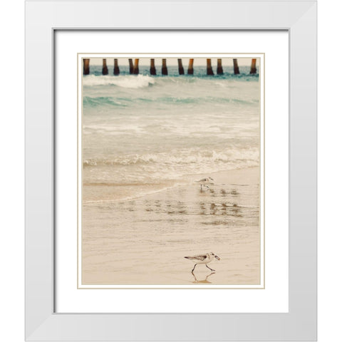 Bird White Modern Wood Framed Art Print with Double Matting by Singleton, Ashley