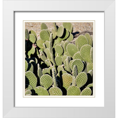 Cactus White Modern Wood Framed Art Print with Double Matting by Singleton, Ashley