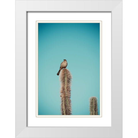 Cactus Bird White Modern Wood Framed Art Print with Double Matting by Singleton, Ashley