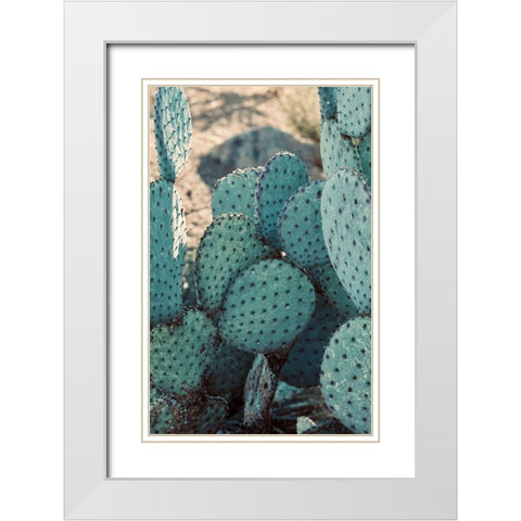 Cactus II White Modern Wood Framed Art Print with Double Matting by Singleton, Ashley
