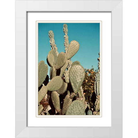 Cactus IV White Modern Wood Framed Art Print with Double Matting by Singleton, Ashley
